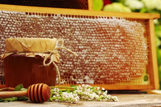 Jar of dark buckwheat honey beside fresh honeycomb and buckwheat blossom